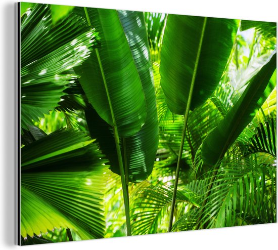 Wanddecoratie Metaal - Aluminium Schilderij Industrieel - Tropische bladeren in jungle fotoprint - 90x60 cm - Dibond - Foto op aluminium - Industriële muurdecoratie - Voor de woonkamer/slaapkamer