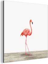 Wanddecoratie Metaal - Aluminium Schilderij Industrieel - Dieren - Flamingo - Roze - 50x50 cm - Dibond - Foto op aluminium - Industriële muurdecoratie - Voor de woonkamer/slaapkamer