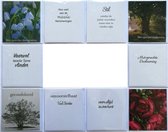 Cartes de Condoléances - Avec Sincère Sympathie - Force - 10 Cartes de vœux - 12 x 11 cm - L-130