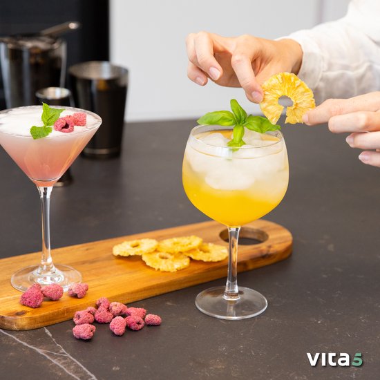 Vita5 Nobel Pro 6 Voedseldroger - Dehydrator 6 Laags - Droogoven RVS - 24-Uurs Timer - Led-bedieningspaneel - 650 Watt