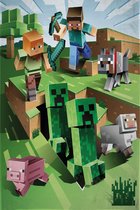 Couverture polaire Minecraft Cave Escape - 100 x 150 cm - Polyester