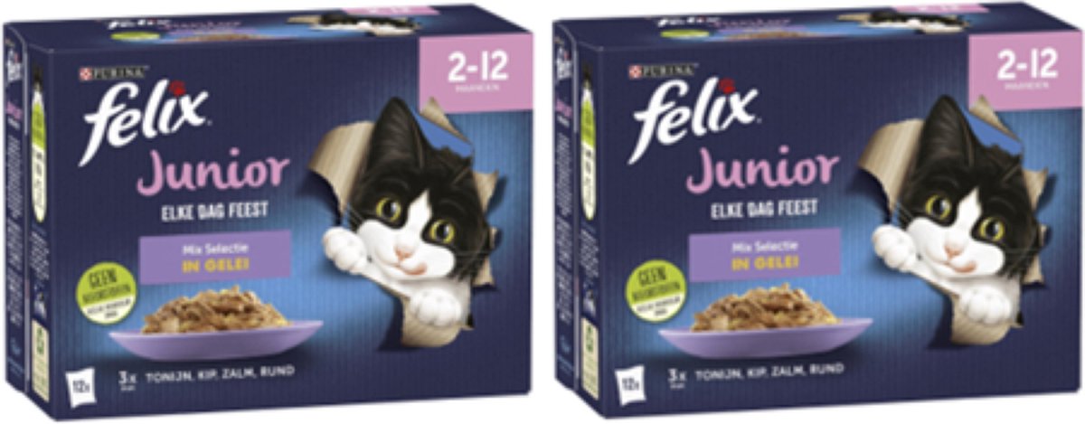 Felix Felix - Elke Dag Feest Junior Mix Selectie in Gelei - 12x85g