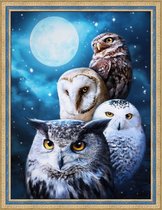 Diamond Painting Night owls 30x40 cm vierkante steentjes