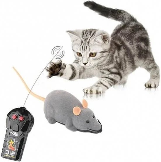 ze timer Inferieur Bestuurbare Muis Kattenspeelgoed - Elektronisch - Grijs - Speelgoed voor  dieren | bol.com