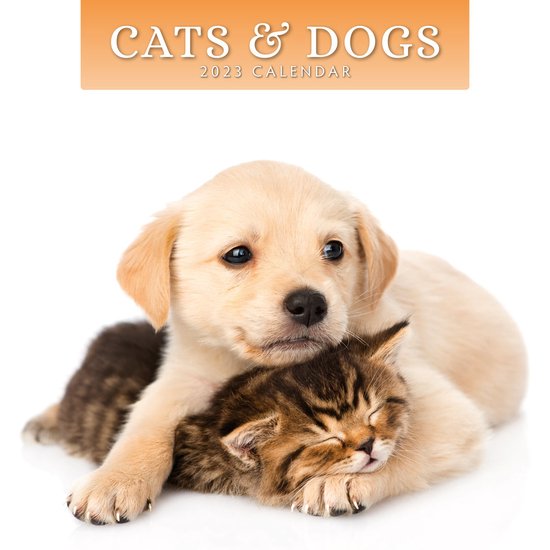 Cats and Dogs Kalender 2023  bol.com