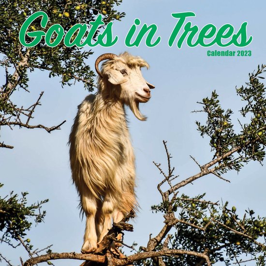 Goats in Trees Kalender 2023