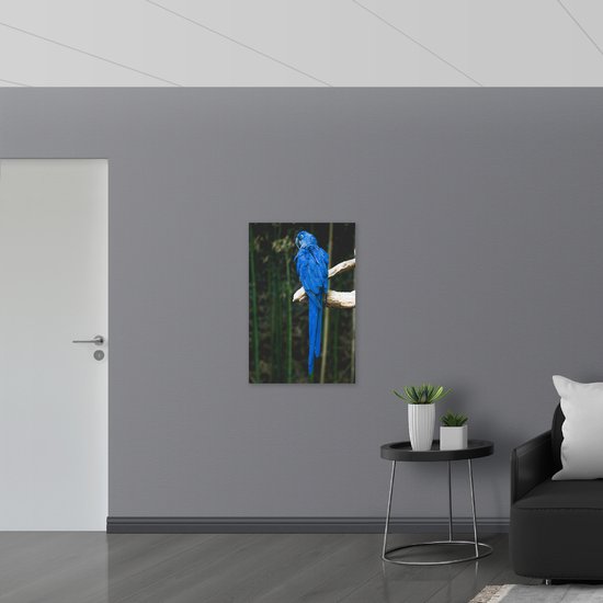WallClassics - Drapeau - Perroquet Ara bleu sur une branche - Photo 60x90 cm sur drapeau polyester