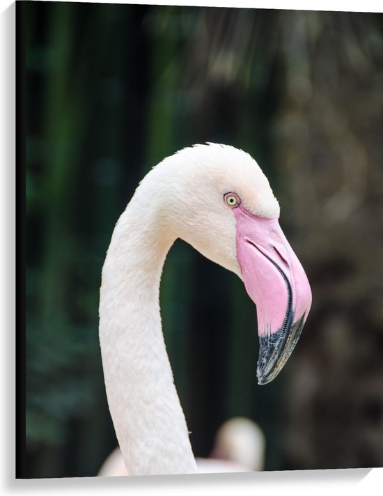 WallClassics - Canvas  - Witte Flamingo met Roze Snavel - 75x100 cm Foto op Canvas Schilderij (Wanddecoratie op Canvas)