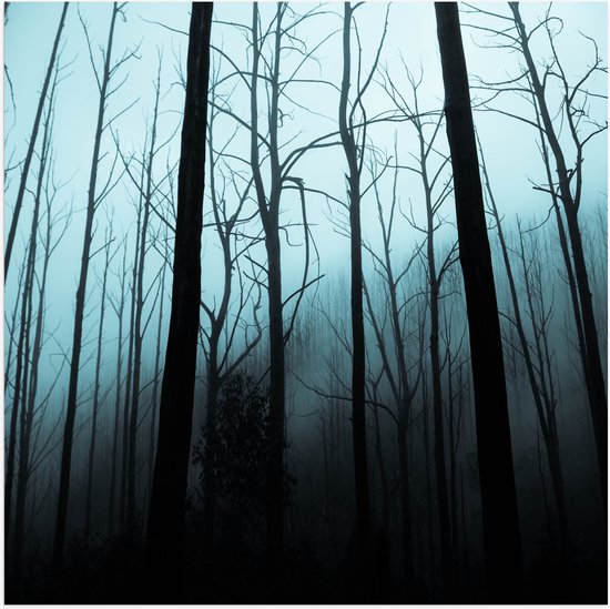 WallClassics - Poster (Matte) - Dark Forest - 100x100 cm Photo sur Papier Poster avec un aspect Mat