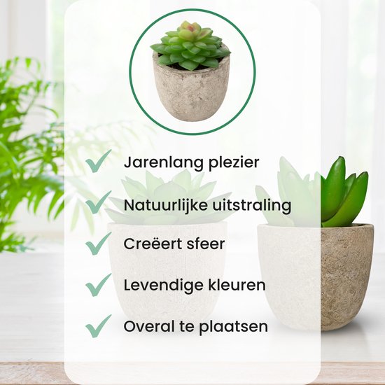 Twee kunstvetplantjes in lichte stenen potjes, naast de tekst "Jarenlang plezier, Natuurlijke uitstraling, Creëert sfeer, Levendige kleuren, Overal te plaatsen".