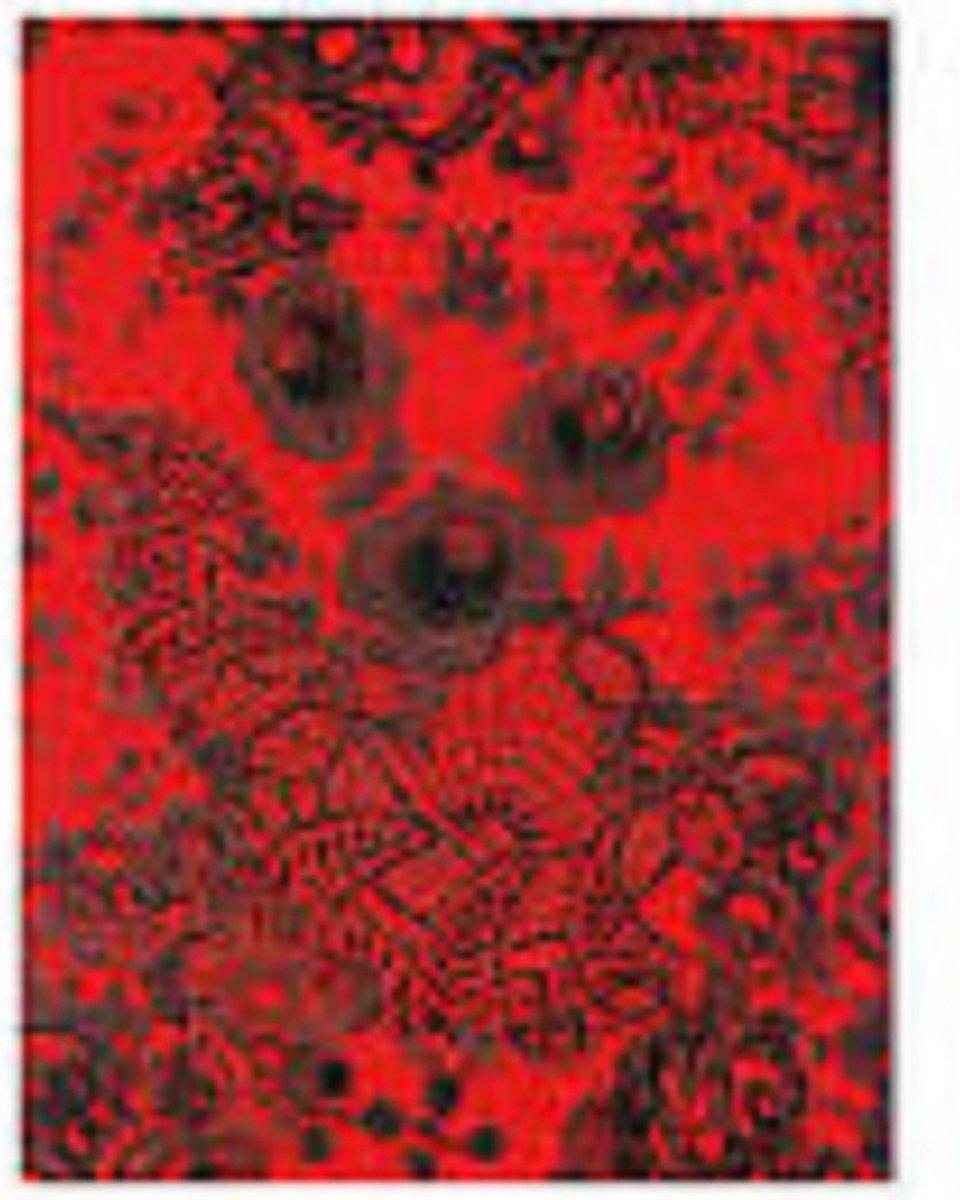 D�copatch papier 436