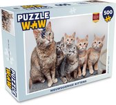 Puzzel Kat - Kittens - Vacht - Legpuzzel - Puzzel 500 stukjes