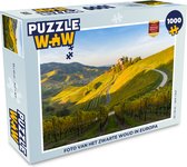 Puzzel Foto van het Zwarte Woud in Europa - Legpuzzel - Puzzel 1000 stukjes volwassenen