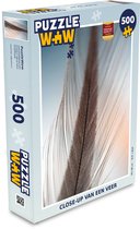 Puzzle Gros plan d'une plume - Puzzle - Puzzle 500 pièces