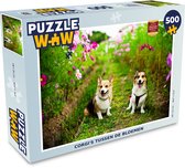 Puzzel Corgi's tussen de bloemen - Legpuzzel - Puzzel 500 stukjes