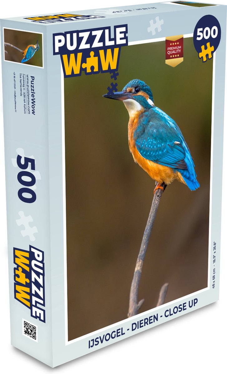 Puzzel IJsvogel - Dieren - Close up - Legpuzzel - Puzzel 500 stukjes