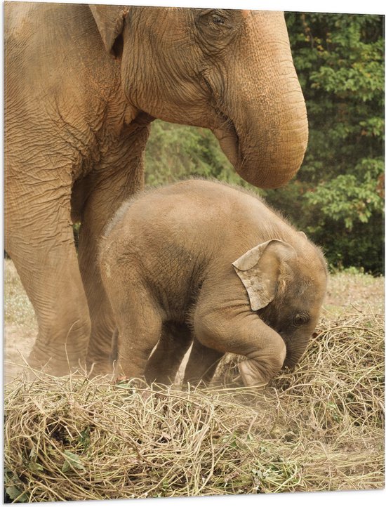 WallClassics - Vlag - Mama Olifant met Baby Olifantje - 75x100 cm Foto op Polyester Vlag