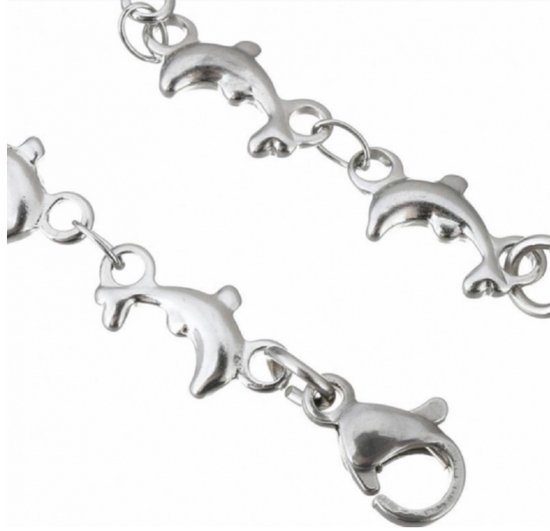 Armband- Dolfijn- RVS-18-23 cm- Zilverkleur- Charme Bijoux