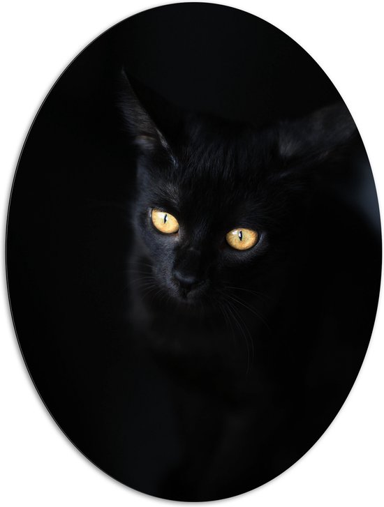 WallClassics - Dibond Ovaal - Zwarte Kat in het Donker - 81x108 cm Foto op Ovaal (Met Ophangsysteem)