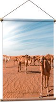 WallClassics - Textielposter - Vrolijke Kamelen in de Woestijn - 60x90 cm Foto op Textiel