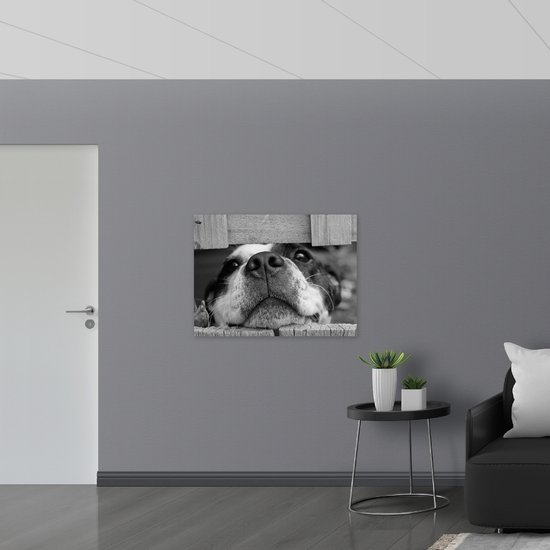Canvas - Nieuwsgierige Hond Zwart / Wit - 100x75 cm Foto op Canvas Schilderij (Wanddecoratie op Canvas)
