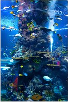 WallClassics - Poster (Mat) - Prachtig Aquarium met mooie Vissen - 60x90 cm Foto op Posterpapier met een Matte look