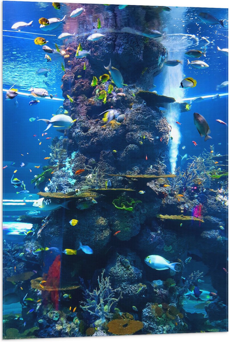 Vlag - Prachtig Aquarium met mooie Vissen - 60x90 cm Foto op Polyester Vlag