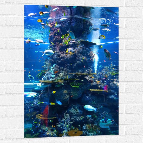 WallClassics - Muursticker - Prachtig Aquarium met mooie Vissen - 60x90 cm Foto op Muursticker