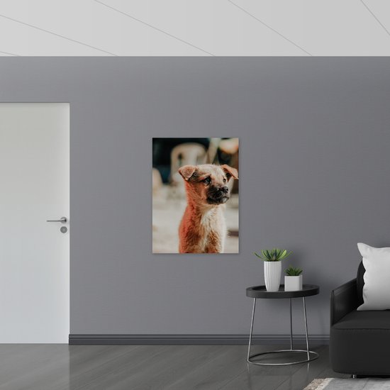 WallClassics - Verre acrylique - Puppy solitaire - Photo sur verre acrylique (avec système de suspension) 75 x 100 cm