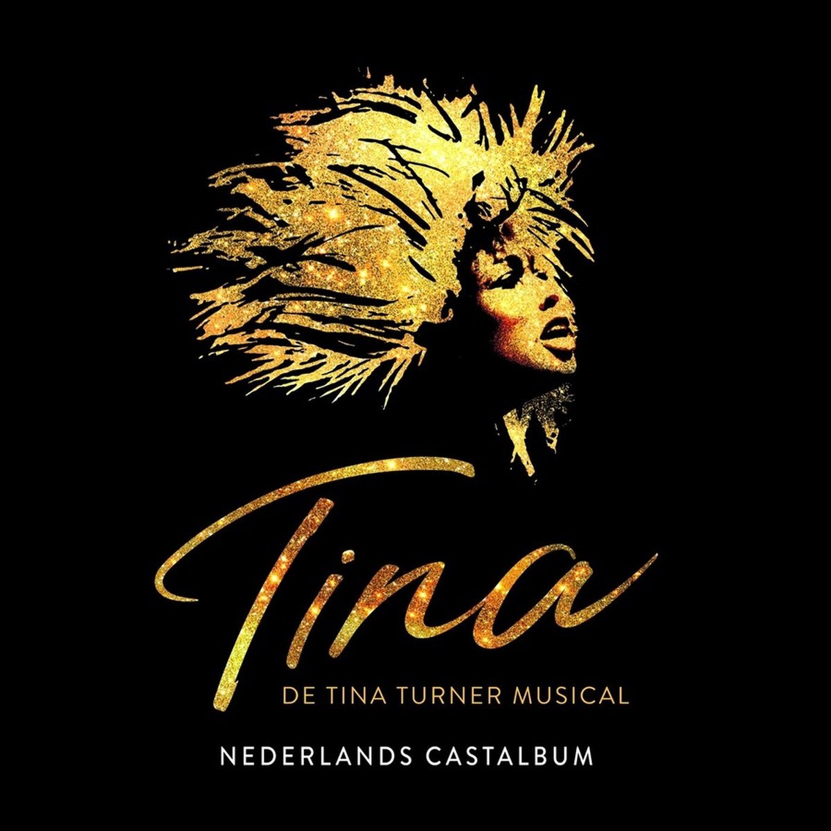 Tina - De Tina Turner musical - Nederlands castalbum (CD)