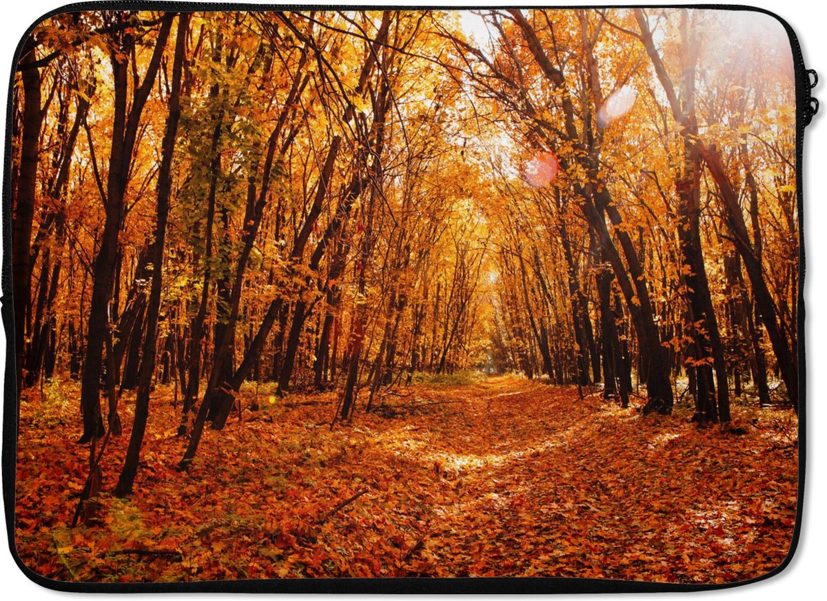 Laptophoes 14 inch - Herfst - Bos - Bladeren - Seizoenen - Laptop sleeve - Binnenmaat 33x23 cm - Zwarte achterkant