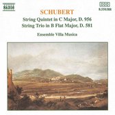 Ensemble Villa Musica - String Quintet/String Trio (CD)