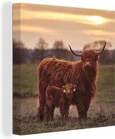 Toile - Peinture animaux - Highlander écossais - Veau - Vache - Coucher de soleil - Nature - Décoration de chambre - Peintures sur toile - Photo sur toile - 20x20 cm
