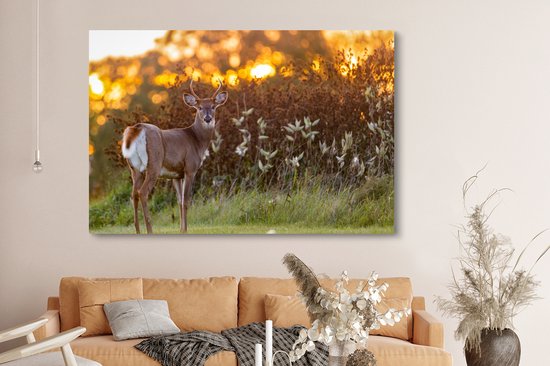 Canvas - Hert - Heide - Natuur - Zonsondergang - Schilderijen op canvas - Landschap - 150x100 cm - Canvas schilderij dieren - Foto op canvas