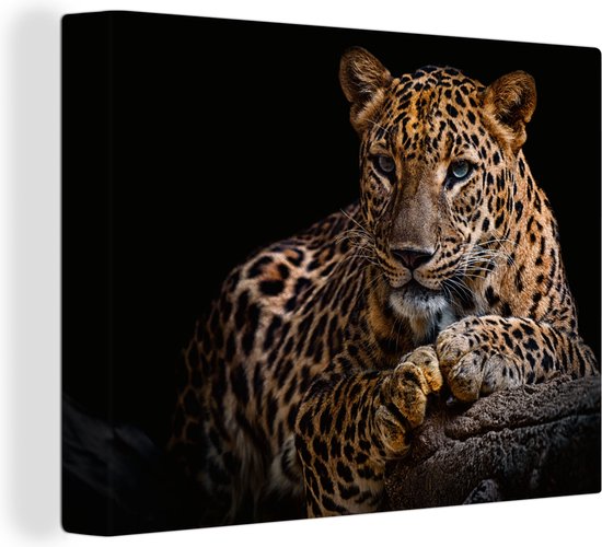 Linilioart 3 stuks funky Lucky 8 bal poster, trendy luipaard canvas