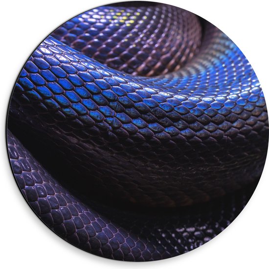 WallClassics - Dibond Muurcirkel - Blauw Paarse Slangenhuid - 30x30 cm Foto op Aluminium Muurcirkel (met ophangsysteem)