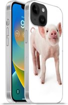 Geschikt voorApple Iphone 14 - Softcase hoesje - Varken - Dieren - Wit - Siliconen Telefoonhoesje