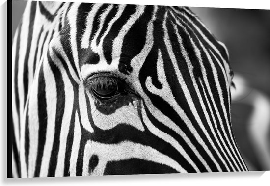 WallClassics - Canvas  - Voorhoofd van een Zebra - 120x80 cm Foto op Canvas Schilderij (Wanddecoratie op Canvas)