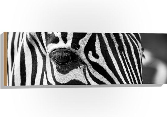 WallClassics - Hout - Voorhoofd van een Zebra - 90x30 cm - 12 mm dik - Foto op Hout (Met Ophangsysteem)