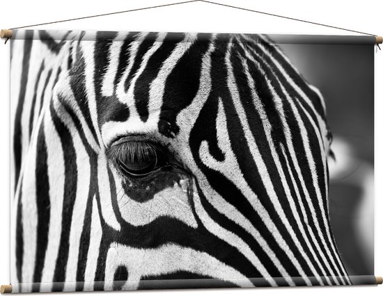 WallClassics - Textielposter - Voorhoofd van een Zebra - 120x80 cm Foto op Textiel