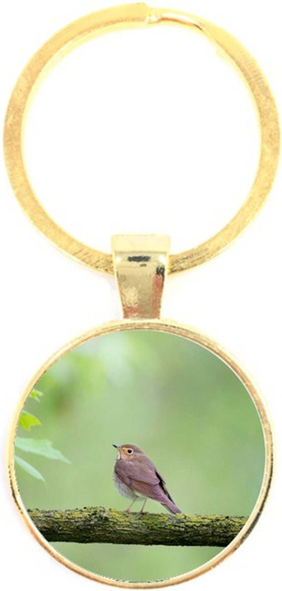 Sleutelhanger Glas - Vogel