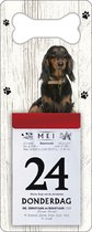 Scheurkalender 2024 Hond: Teckel langharig