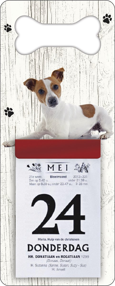 Scheurkalender 2026 Hond: Jack Russel