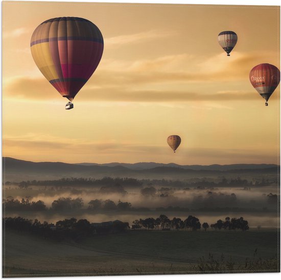 WallClassics - Vlag - Luchtballonen Zwevend boven Open Veld - 50x50 cm Foto op Polyester Vlag