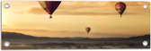 WallClassics - Tuinposter – Luchtballonen Zwevend boven Open Veld - 60x20 cm Foto op Tuinposter  (wanddecoratie voor buiten en binnen)
