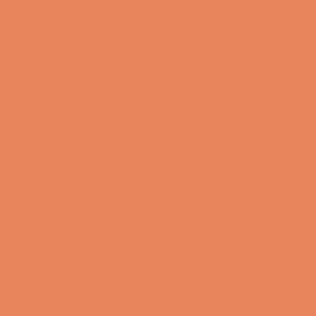 Flexa | Creations Lak Zijdeglans | Fresh Orange - Kleur van het jaar 2005 | 500ML
