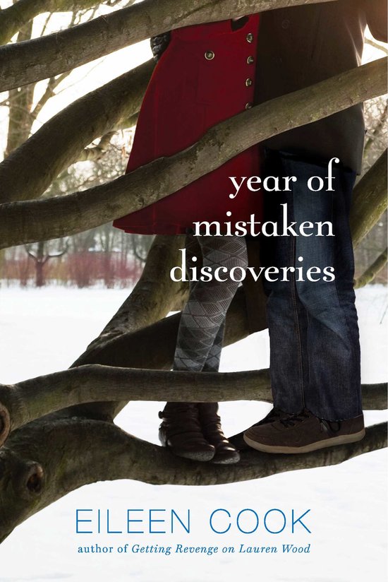 Year of Mistaken Discoveries - cover