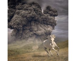 The White Buffalo - Year Of The Dark Horse (CD)