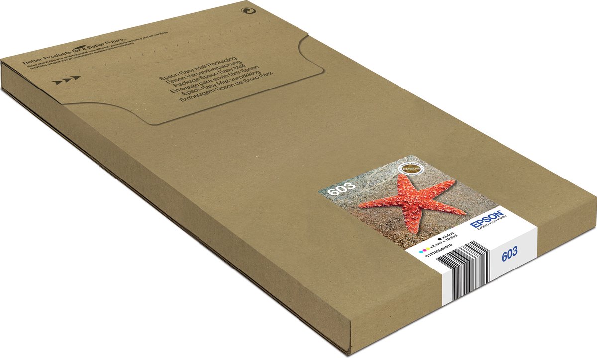 Epson Multipack 4-colours 603 EasyMail