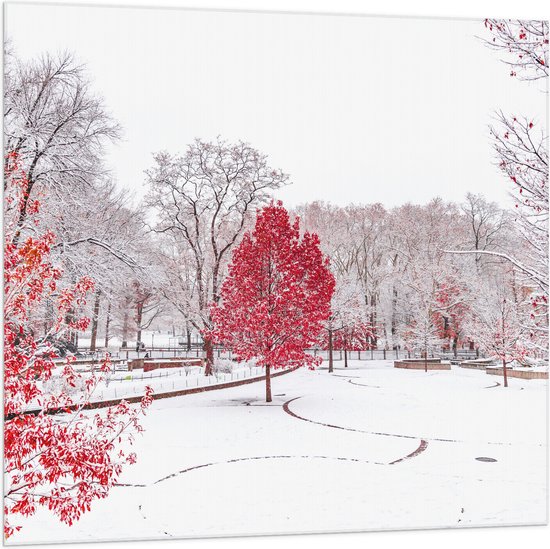 WallClassics - Drapeau - Arbre rouge dans la neige - Photo 100x100 cm sur drapeau polyester